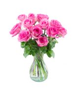 12 Pink Rose