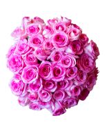 48 Fresh Cut Pink Roses