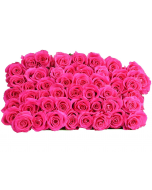 50 Hot Pink Roses