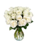 25 White Roses
