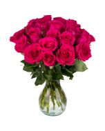 25 Hot Pink Roses