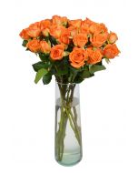 Orange Spray Roses