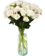 White Spray Roses