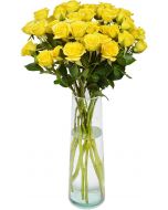 12 Yellow Spray Roses
