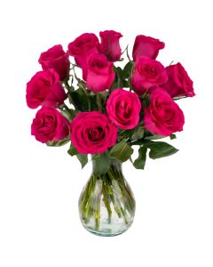 12 Hot Pink Roses