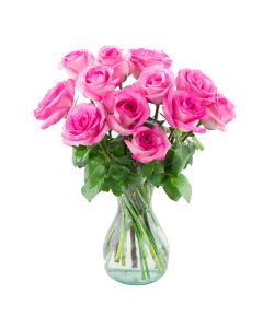12 Pink Rose