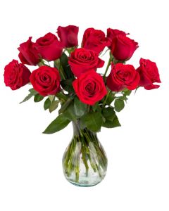 12 Red Rose