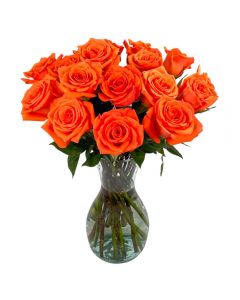 18 Orange Rose