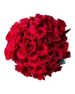 50 Red Roses
