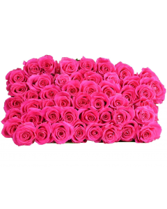 50 Hot Pink Roses