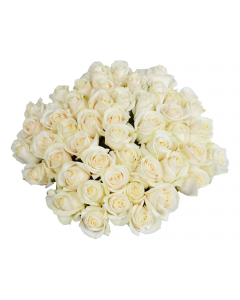 50 White Roses