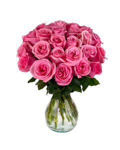 25 Pink Roses
