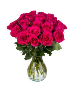 25 Hot Pink Roses