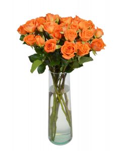 Orange Spray Roses